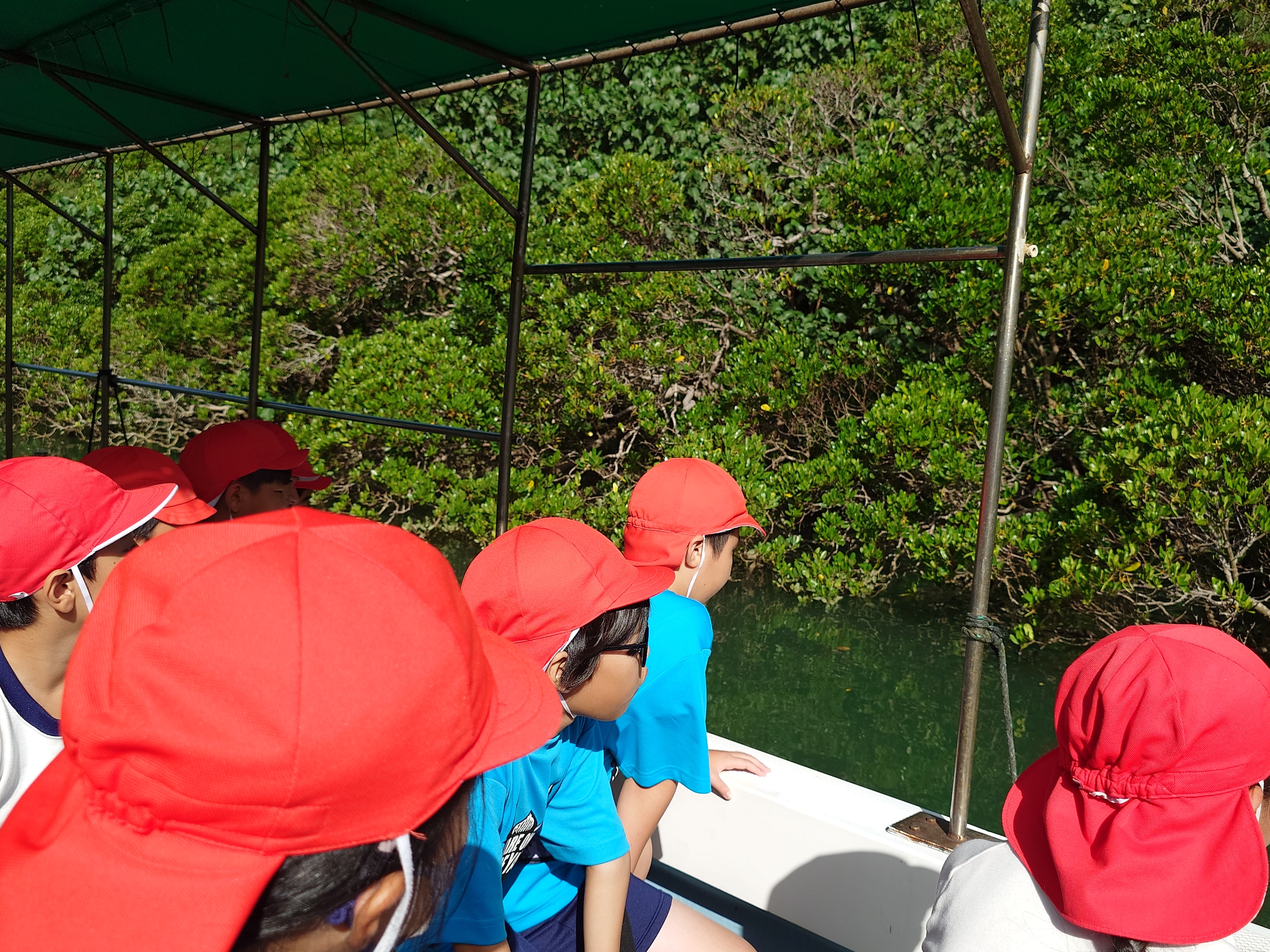 自然観察クルーズ＆遊歩道散策（自然学習）屋良小学校5年生02