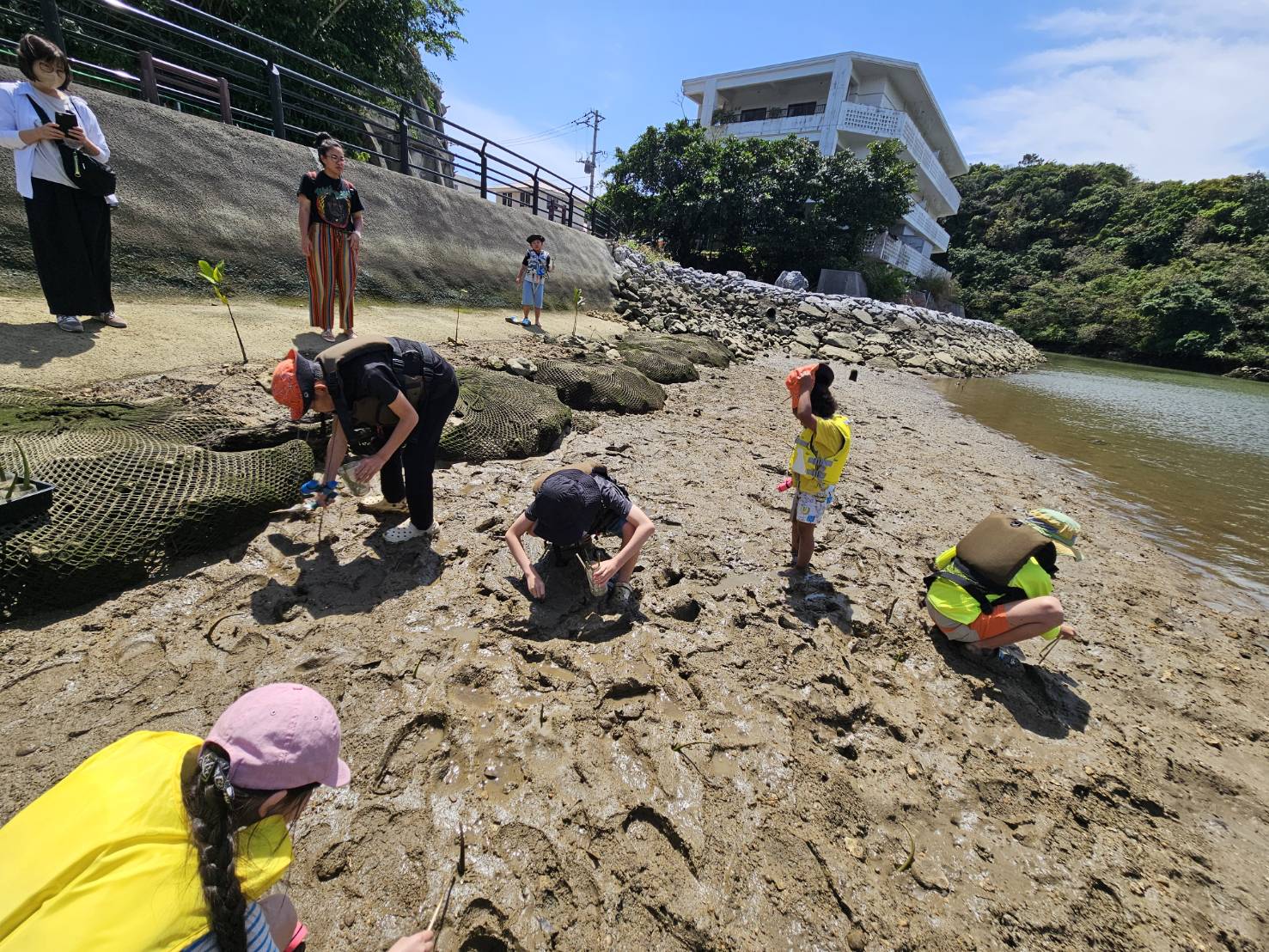 比謝川泥んこ遊びとマングローブの種植え体験02 比謝川泥んこ遊びとマングローブの種植え体験02