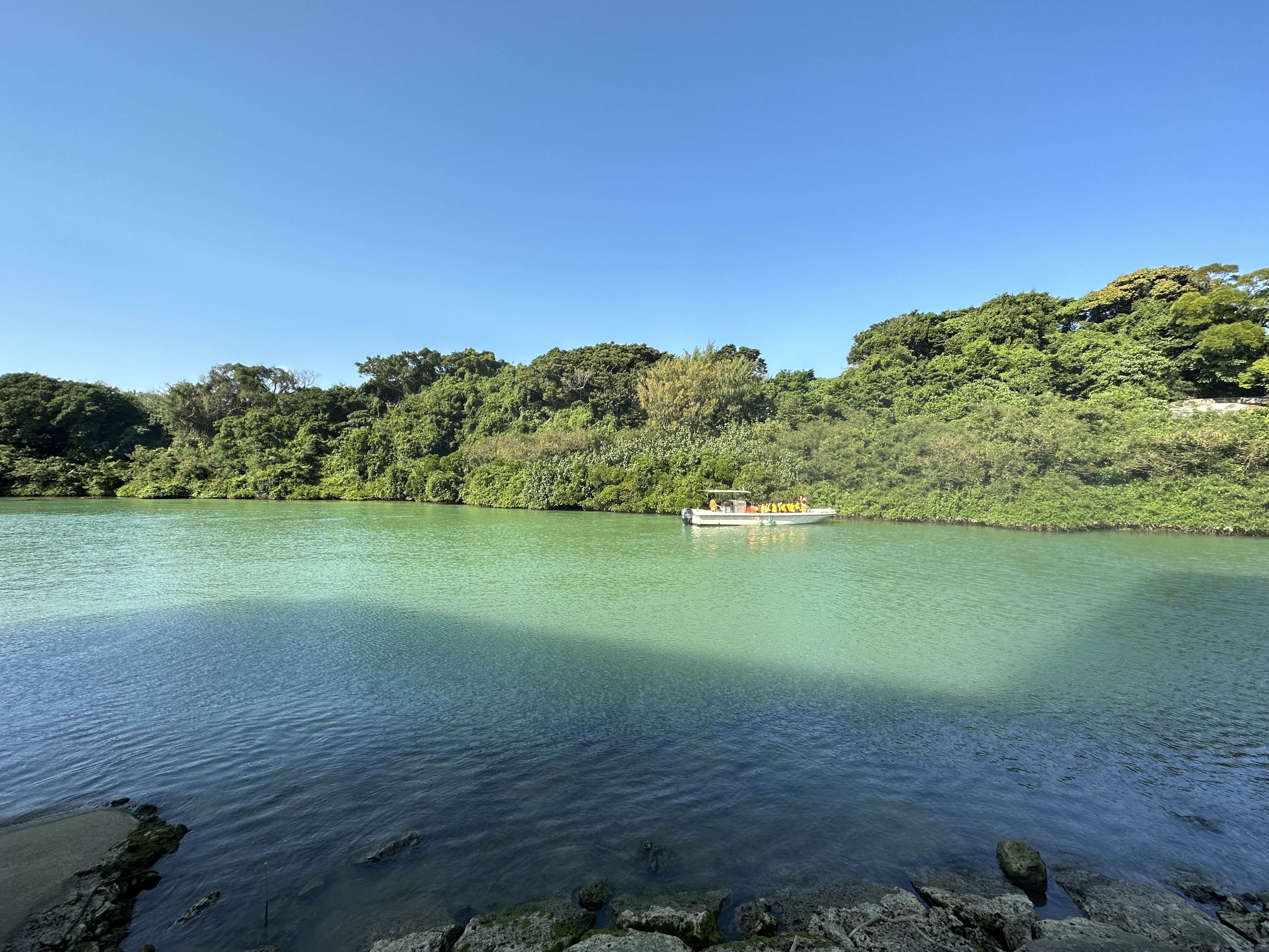 SDGsクルーズ_ブルーフィールド