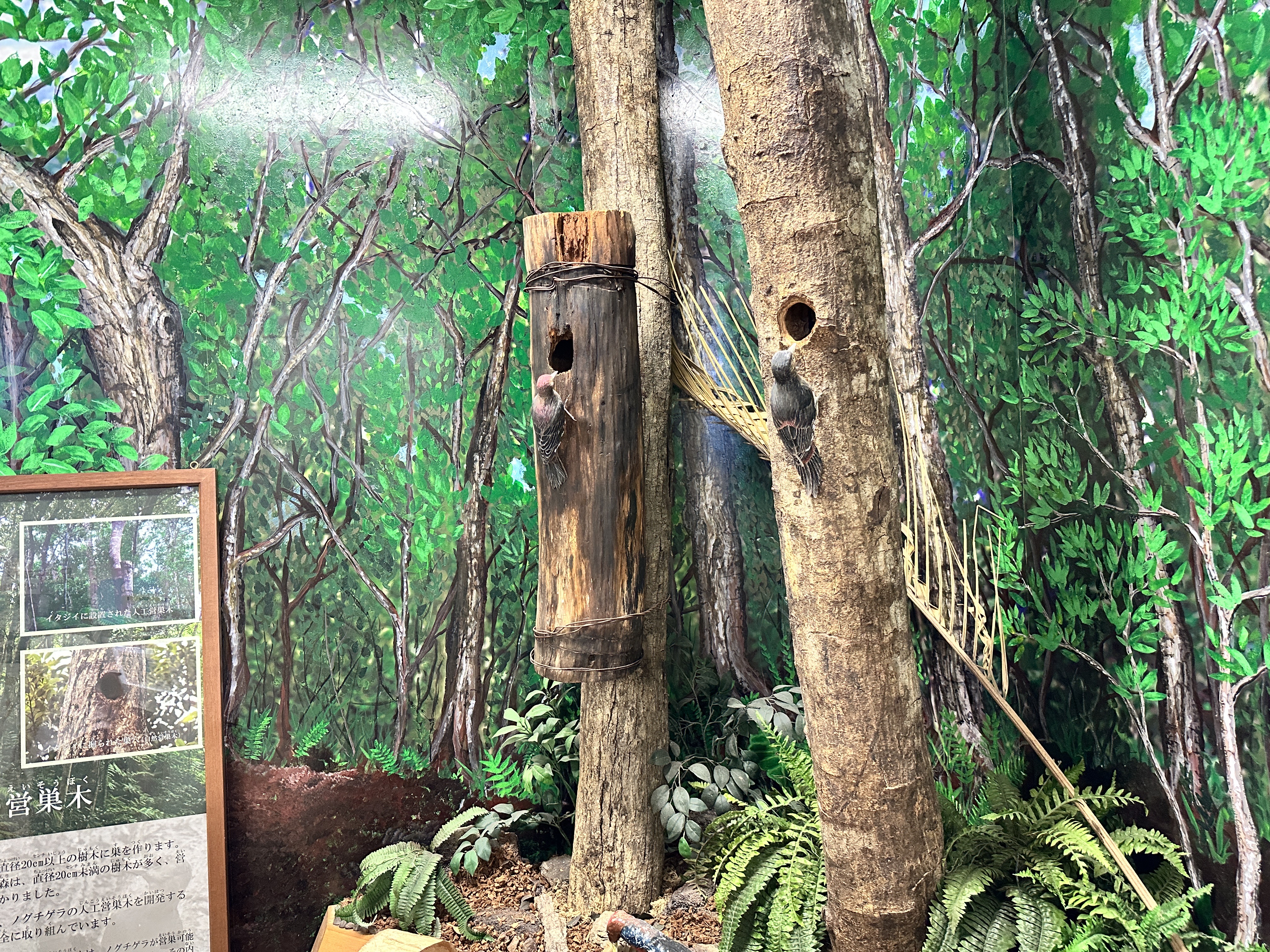 比謝川愛護会_2025.09.27_03 比謝川愛護会_2025.09.27_03