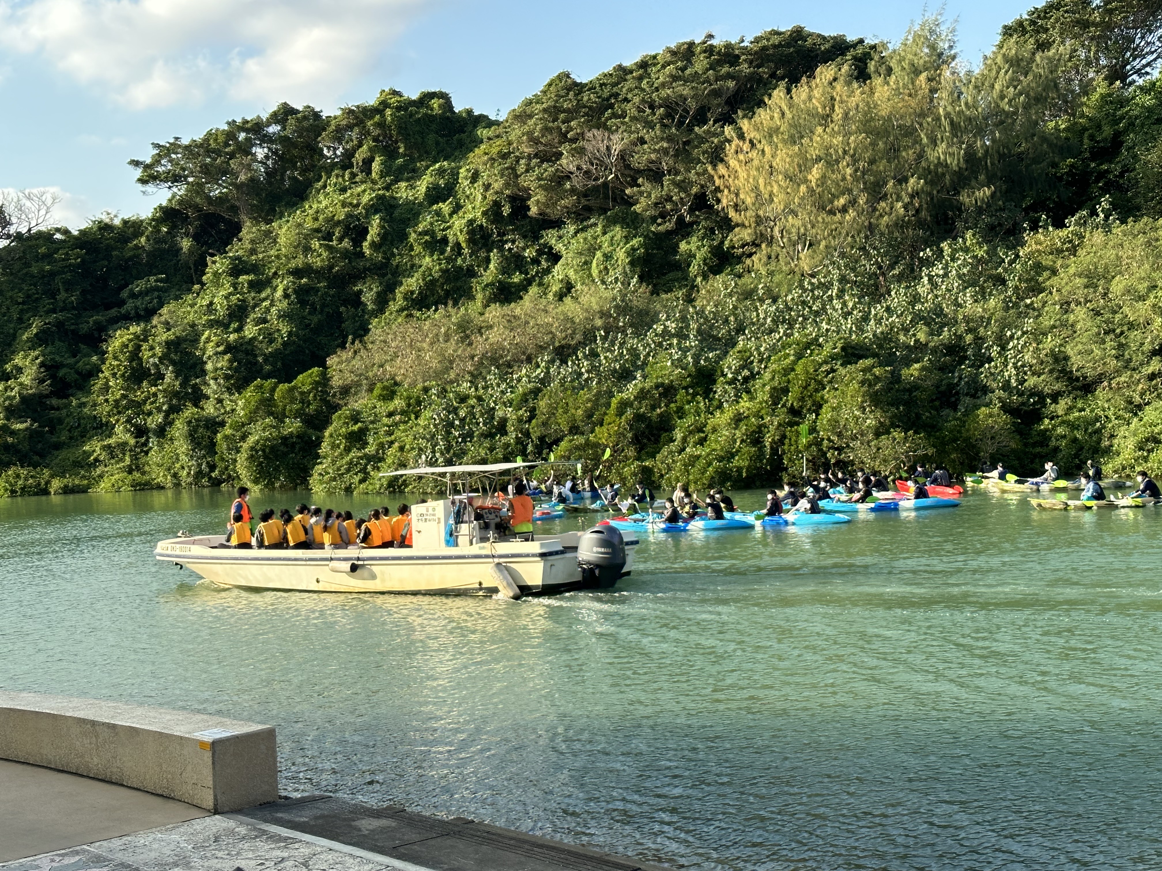 SDGｓクルーズとマングローブカヤック_ブルーフィールド