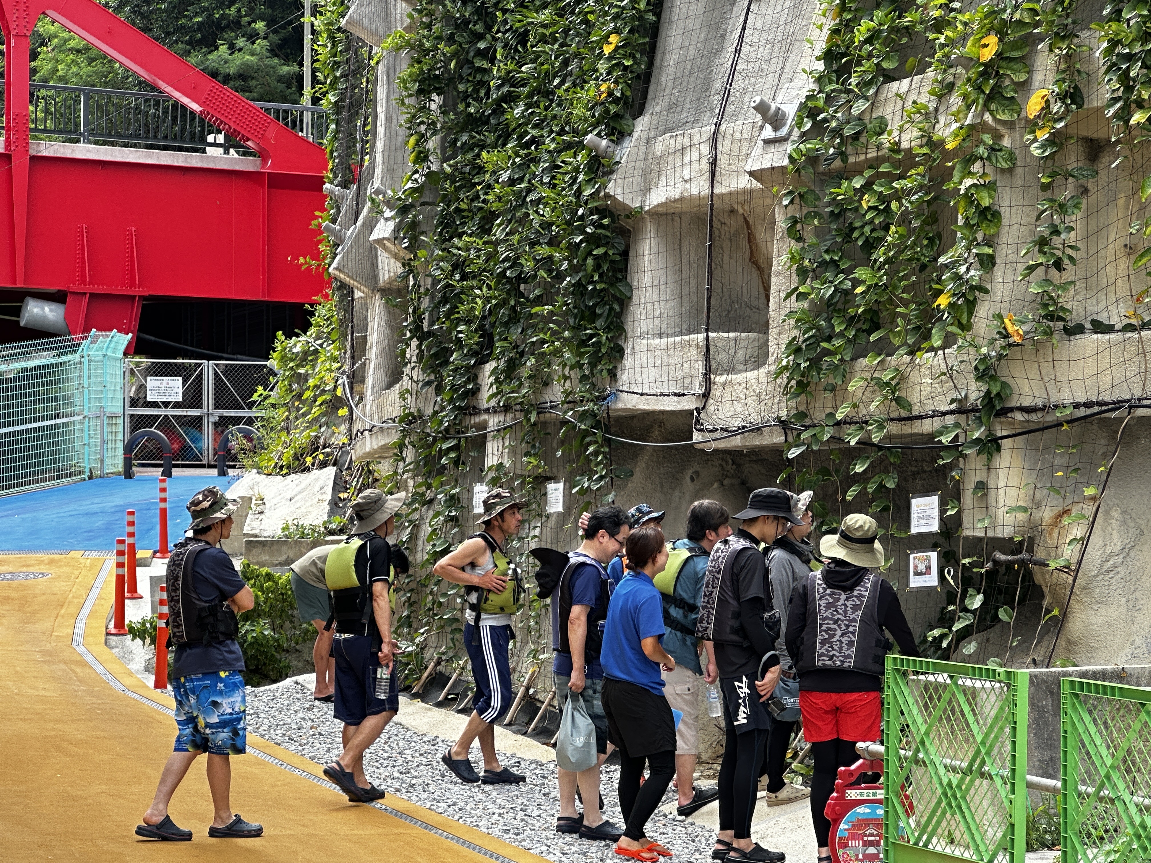 サナギもキレイ！～オオゴマダラ成長記録2024～01