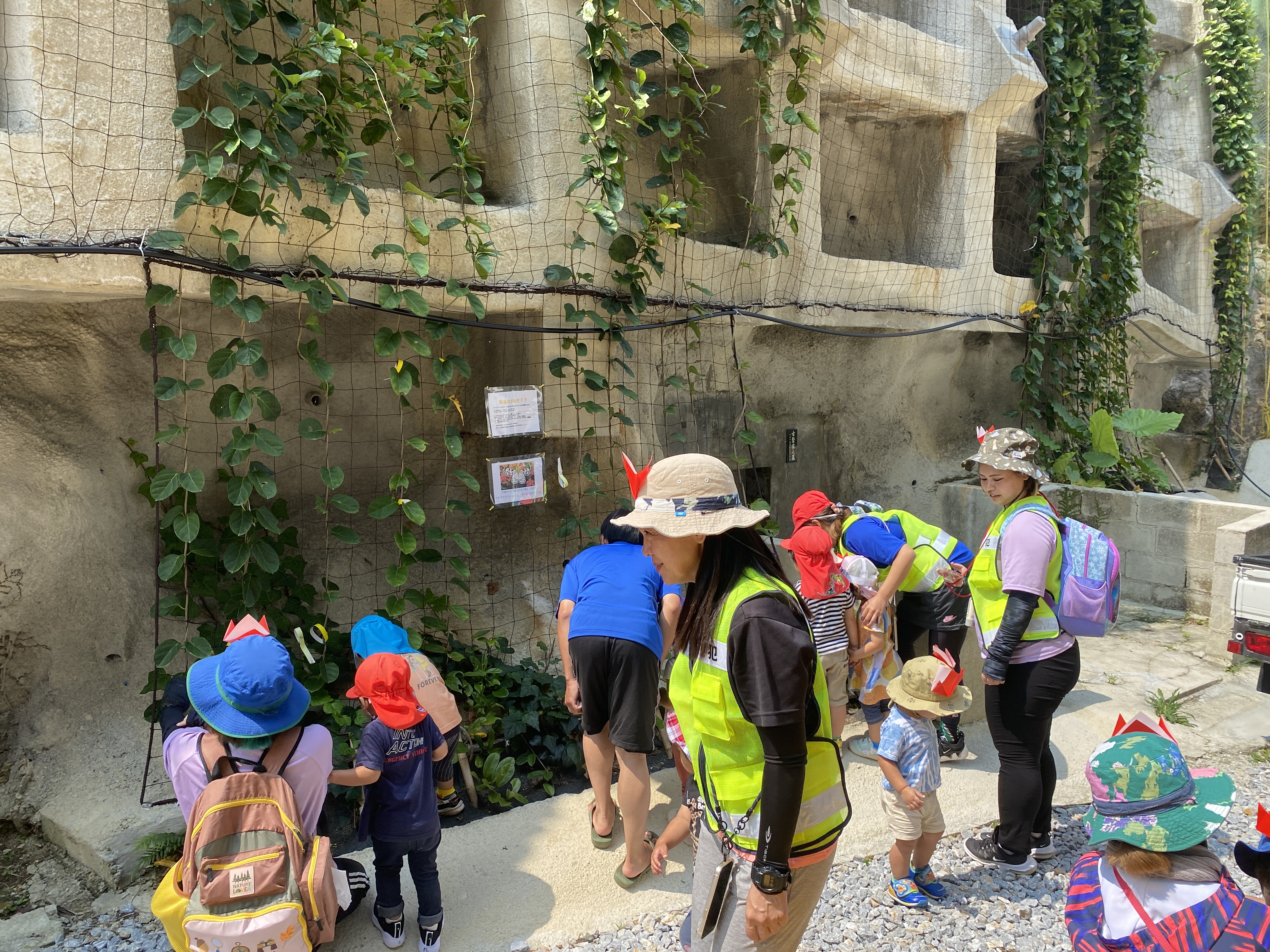 オオゴマダラを見に来たよ～嘉手納町第二保育園～01