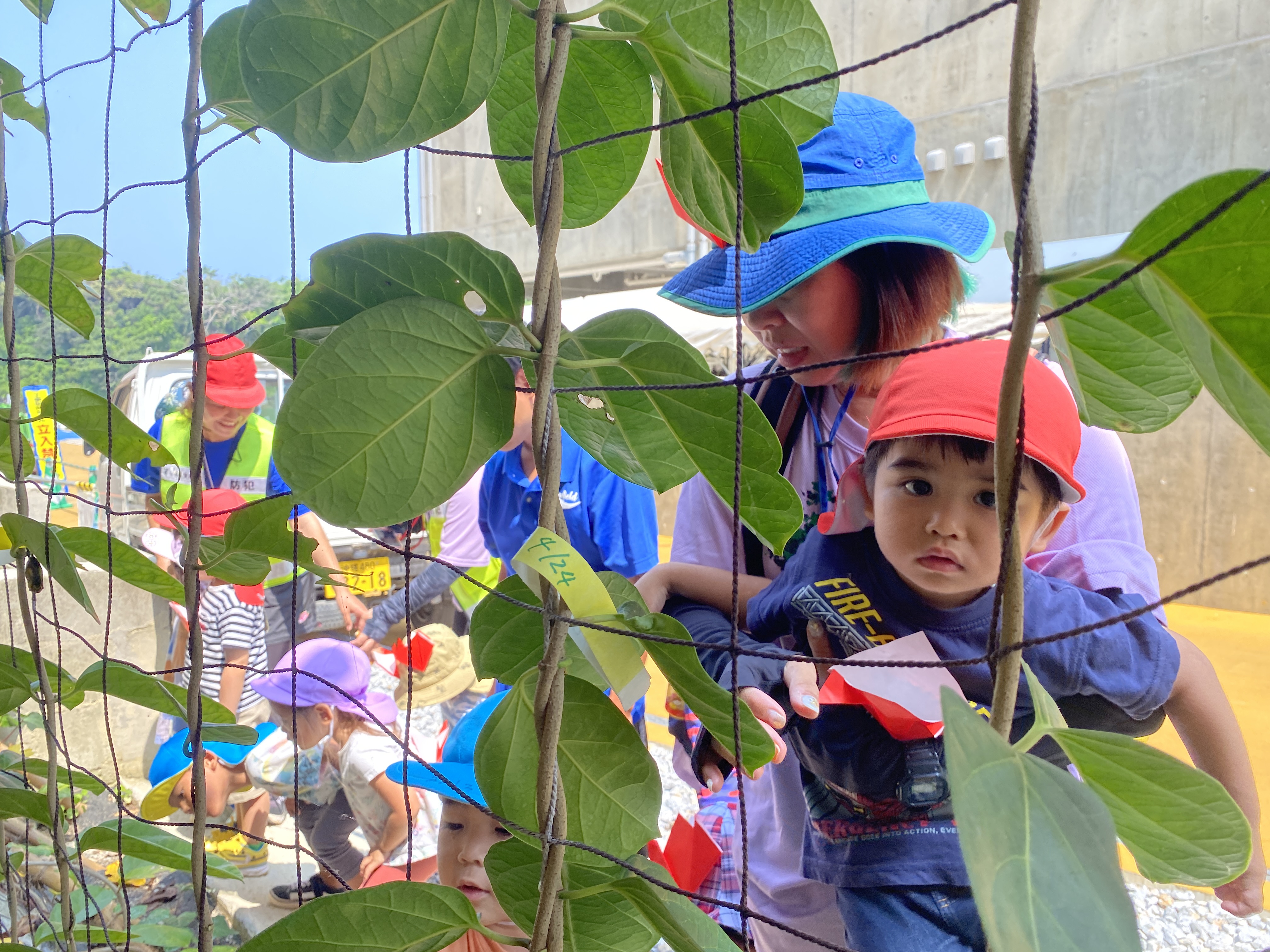 オオゴマダラを見に来たよ～嘉手納町第二保育園～02