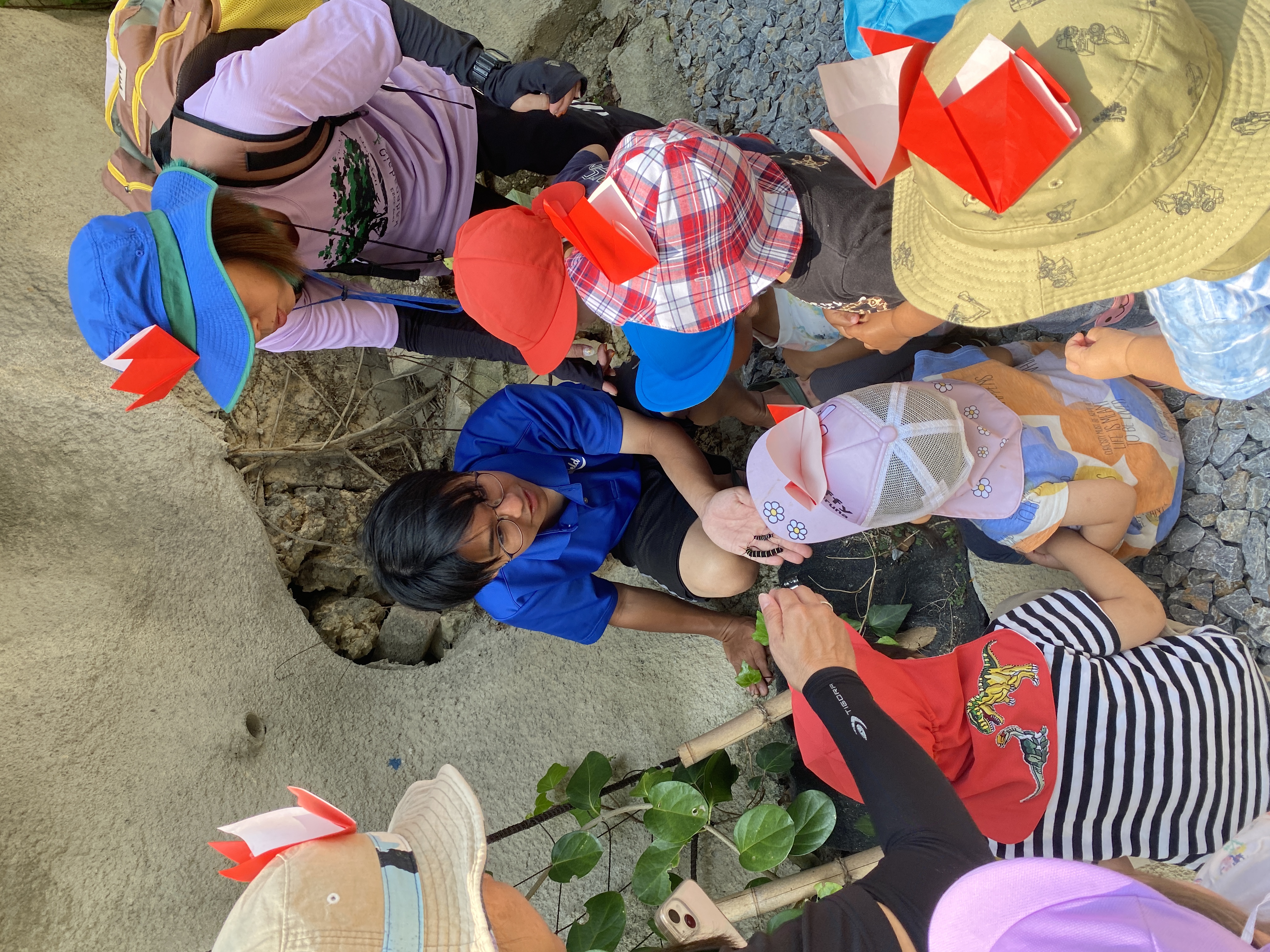 オオゴマダラを見に来たよ～嘉手納町第二保育園～04