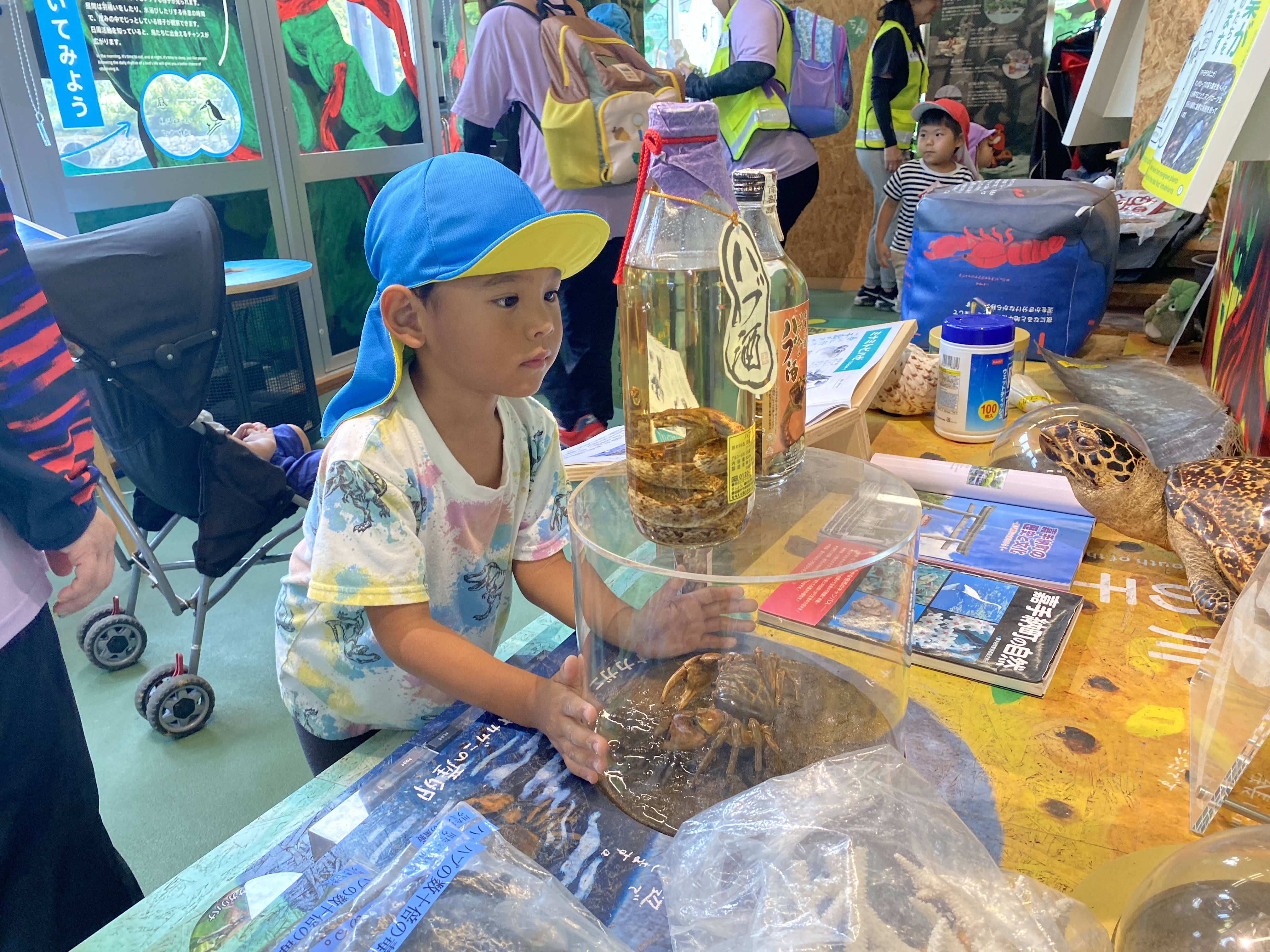 オオゴマダラを見に来たよ～嘉手納町第二保育園～08