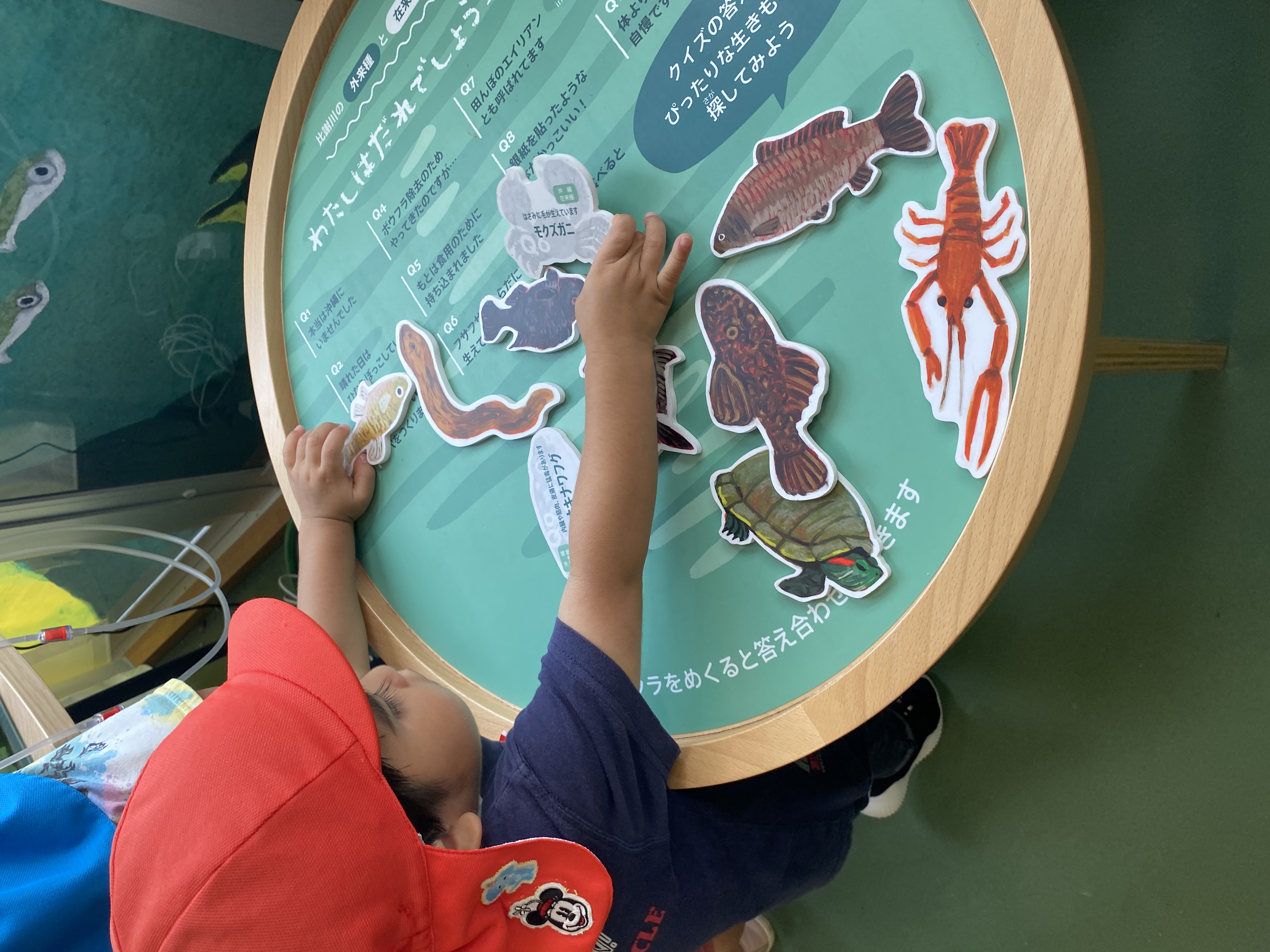 オオゴマダラを見に来たよ～嘉手納町第二保育園～05