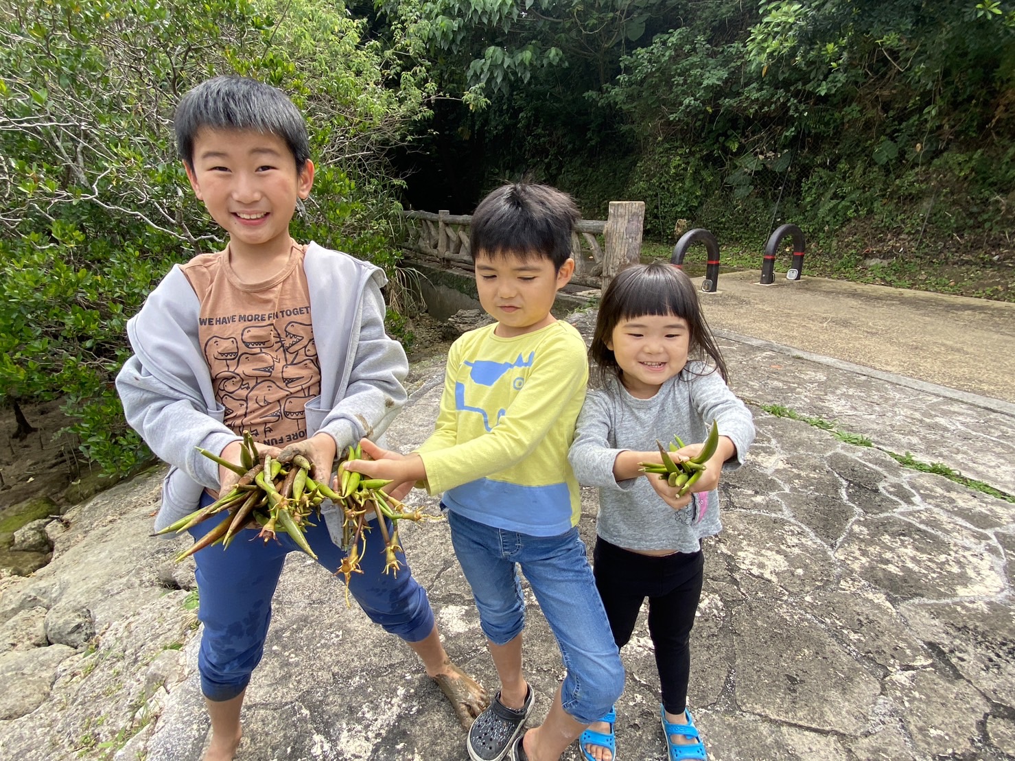 種と共に
