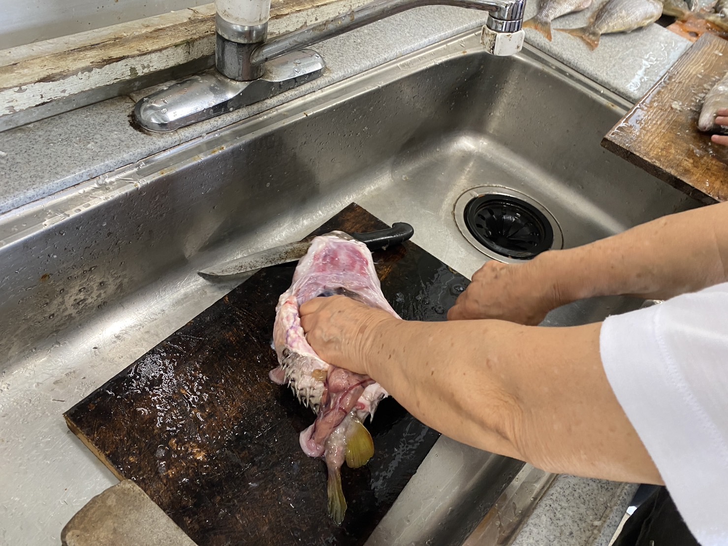 食育：おさかなをさばいてたべよう_比謝川自然体験センター04