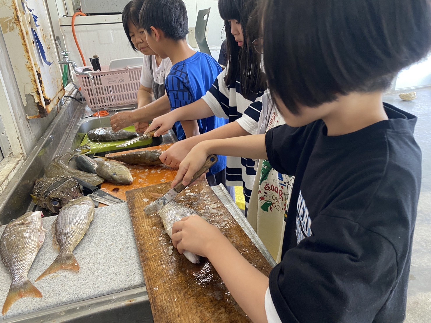 食育：おさかなをさばいてたべよう_比謝川自然体験センター03