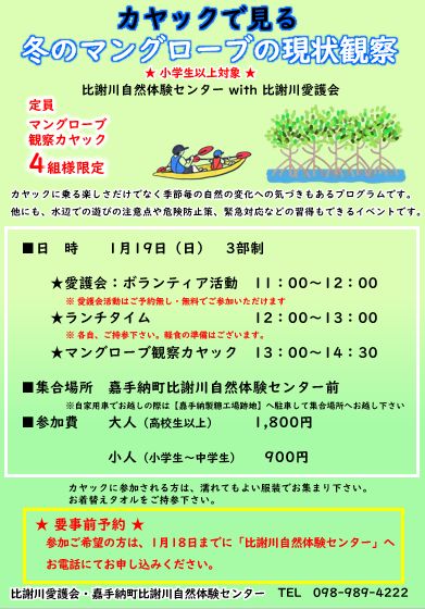 カヤックで見る冬のマングローブの現状観察