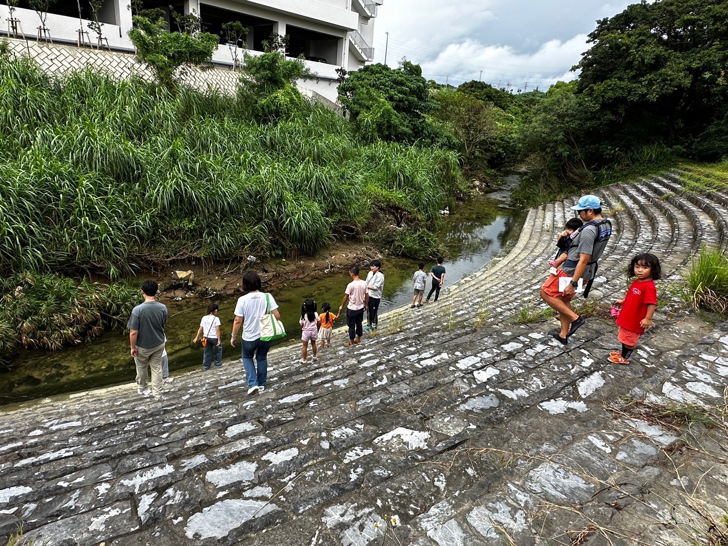 LINE_ALBUM_2024